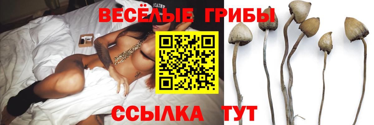 Архангельск  Галлюциногенные грибы ЛСД  Вход с VPN 